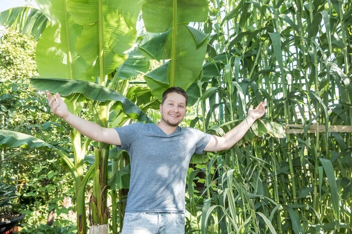 Hereinspaziert zur virtuellen Gartenführung! Hinter Manuel Sluga, der gelernter Gärtner ist, wachsen Bananenstauden und Arundo donax - das Spanische Pfahlrohr oder auch Riesenschilf genannt.