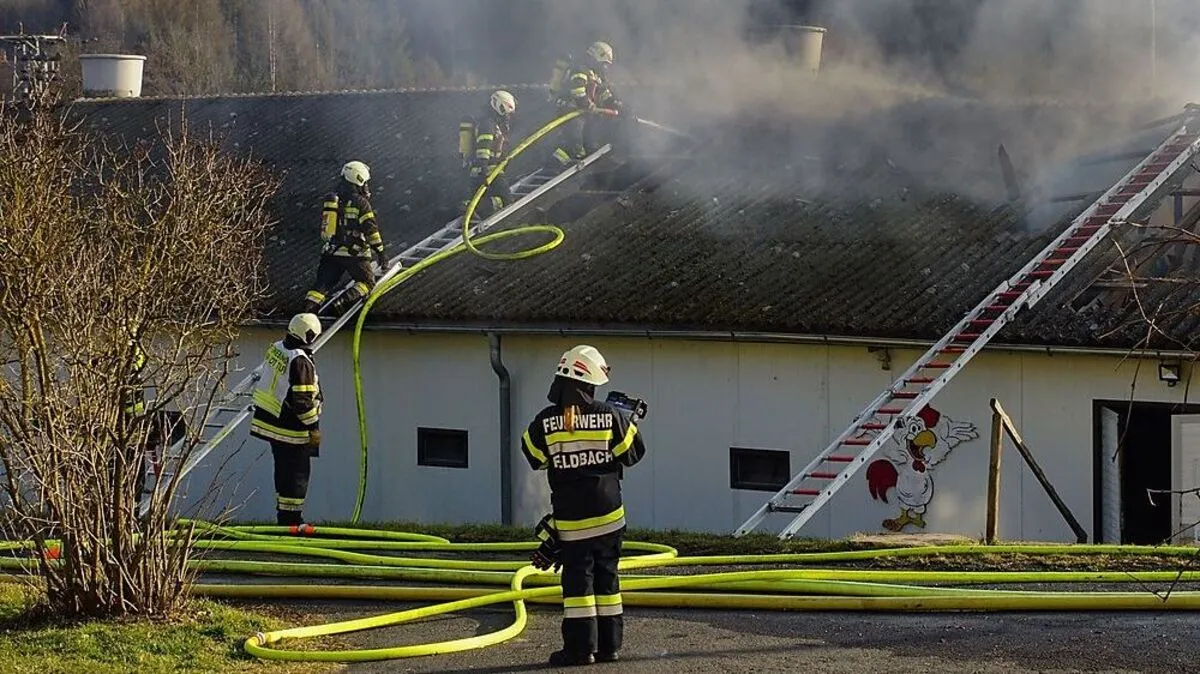 Stall mit 10.000 Hühnern brannte