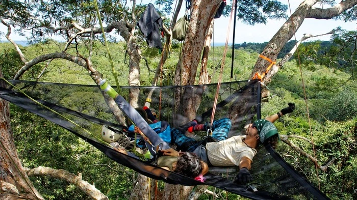 Den Amazonas von oben erleben.Wie ein Affe im brasilianischen Amazonas: Auf der dreistündigen Tour hangeln sich die Besucher von Baum zu Baum im Amazonas-Regenwald. Die alten Bäume sind teilweise bis zu 70 Meter hoch und bieten von oben eine atemberaubende Perspektive auf exotische Pflanzen und Wildtiere. Der Guide sorgt für die Sicherheit seiner Gäste und gibt ihnen auf der aufregenden Tour einen Einblick in das fragile Ökosystem des Regenwalds.