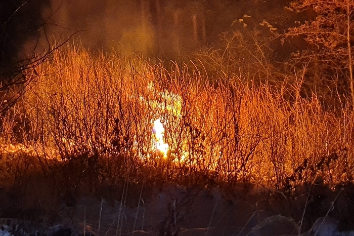 Die Reparaturen der Stromleitung dauerten den ganzen Sonntag-Vormittag über an, es kam zu einem großflächigen Stromausfall.