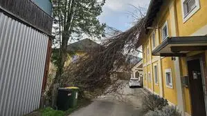 In Leoben ist ein Baum auf ein Hausdach gestürzt