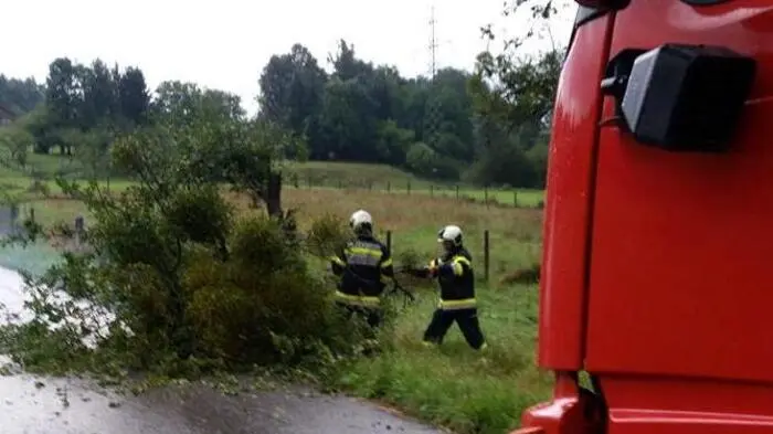 Einsatz der Freiwillligen Feuerwehr Eggersdorf heute Vormittag: In weiten Teilen der Steiermark mussten Bäume von Straßen geborgen werden.