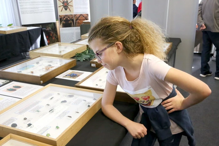 Was auffiel: Besonders viele junge Leute hatten sich am Samstag und Sonntag Richtung „Fuchspalast“ aufgemacht, um die Insekten, die man in der Natur in unseren Breiten nicht zu sehen bekommt, zu bestaunen.