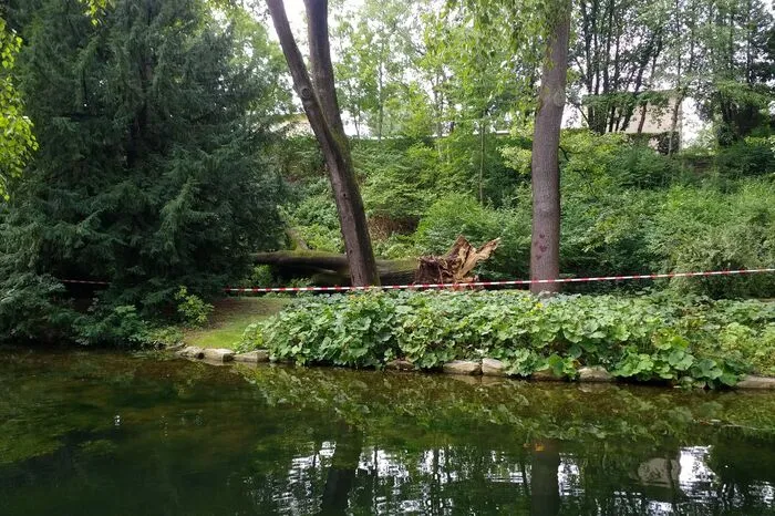 Passiert ist das neben dem Schanzgraben auf Höhe des Lokals Parkhouse im Herzen des Parks. Die Stelle ist mittlerweile abgesperrt.
