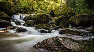 Im Pesenbachtal fließen Wasser und Wald stimmig zusammen