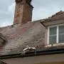 Erneut ein Storch in misslicher Lage