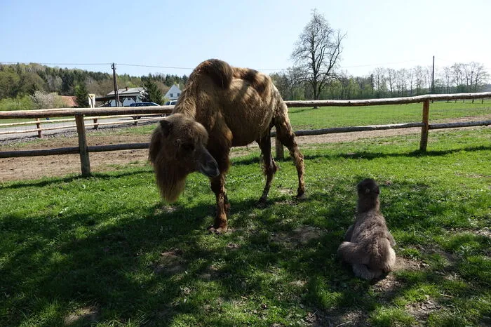 Weitere Bilder...