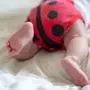 Booty baby in body in form ladybug. newborn baby is lying on belly. Baby is trying to crawl. Baby from the back.