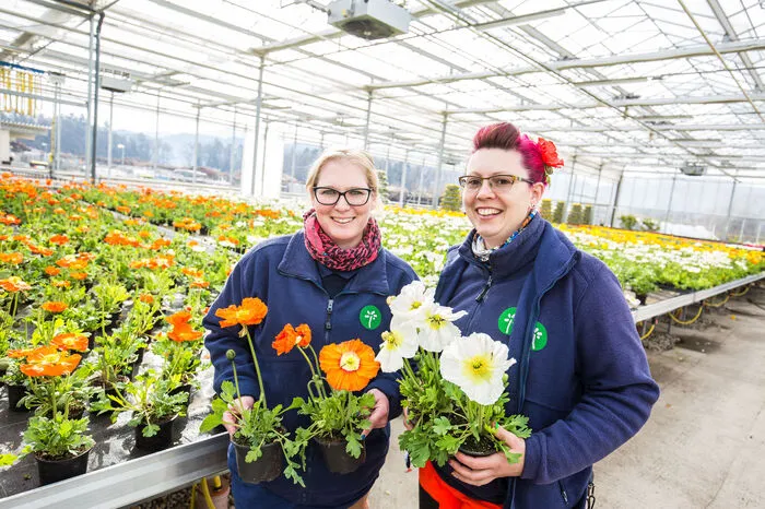 Eine Menge an Frühlingsblumen wurden im Stadtgarten gezogen.