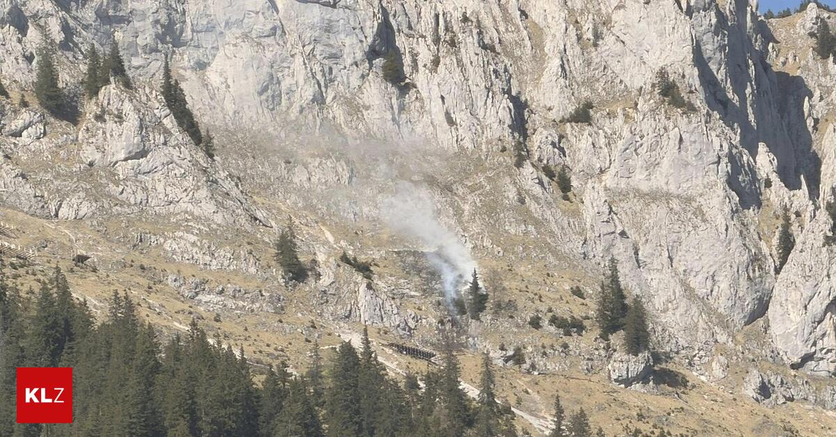 200-Quadratmeter-Waldbrand-am-Pfaffenstein-fordert-Einsatzkr-fte
