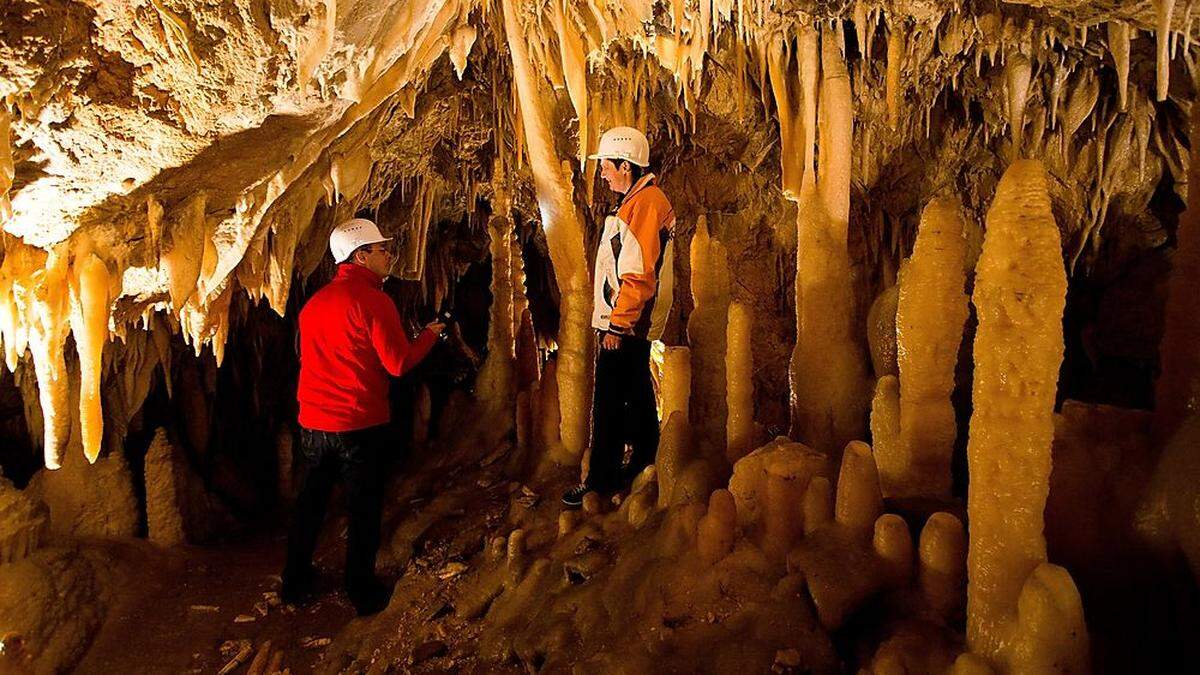 Seit 25 Jahren entdecken Besucher die Obir-Tropfsteinhöhlen in Eisenkappel-Vellach/Železna Kapla-Bela