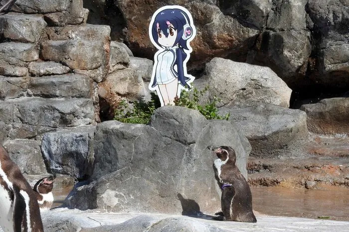 Das Tier war von seiner früheren Partnerin Midori verlassen worden, woraufhin der Zoo dem Pinguin eine Pappversion der Zeichentrickfigur Hululu an die Seite stellte. Grape verliebte sich in die Figur und starte sie oft stundenlang an.