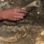 Teile von Skeletten wurden beim Hausumbau gefunden (Symbolfoto)