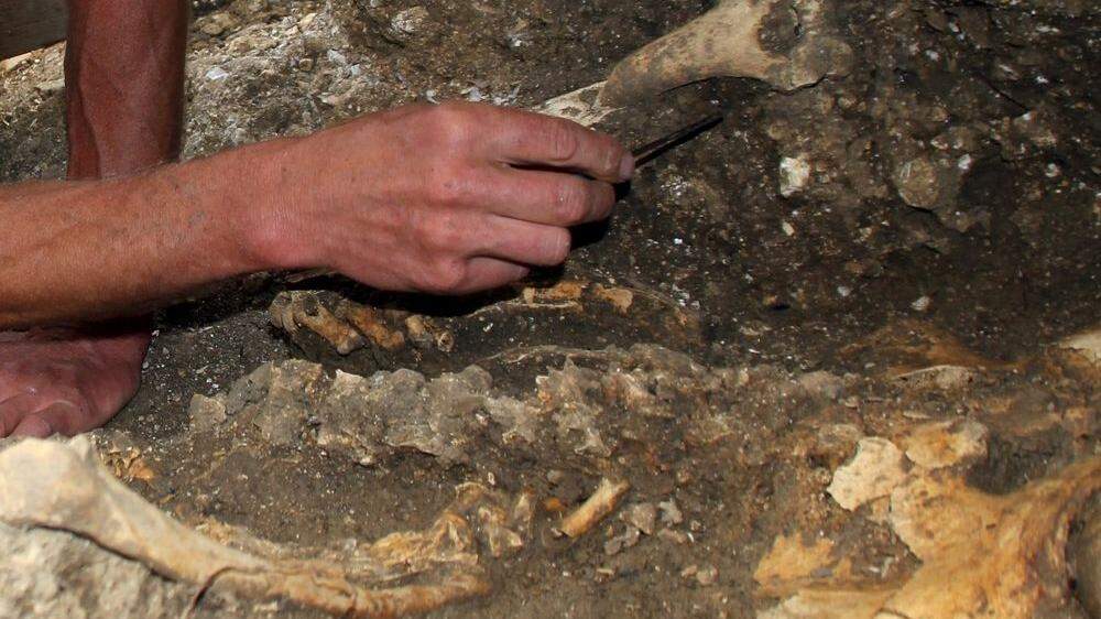 Teile von Skeletten wurden beim Hausumbau gefunden (Symbolfoto)