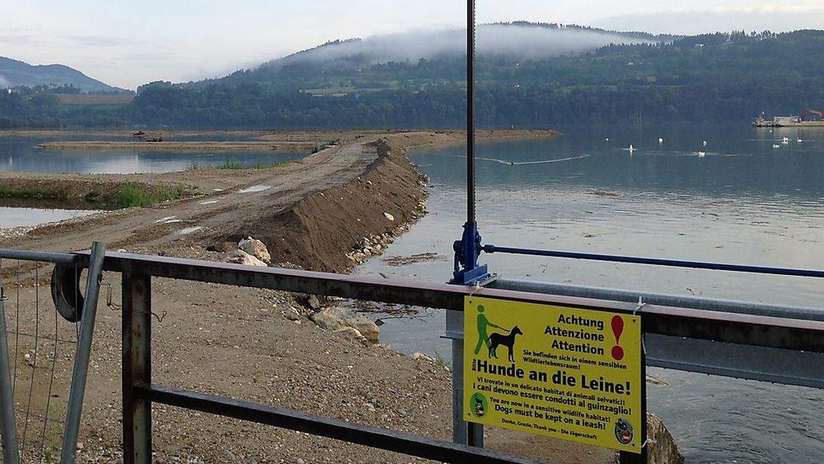 Blick auf die Brenndorfer Bucht, wo ein Naturschutzgebiet entsteht. Die Jägerschaft ersucht Jogger und Spaziergänger, die Hunde an die Leine zu nehmen