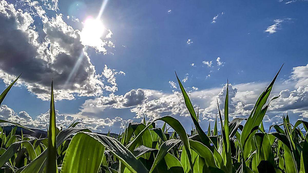 Die Sonne zeigt sich fast den ganzen Tag über