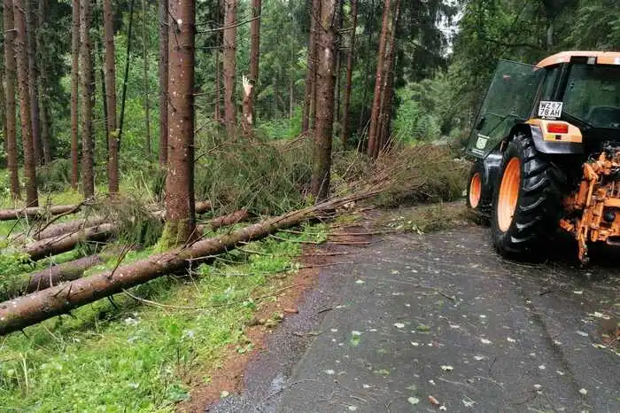 Straßen sind durch umgestürzte Bäume blockiert.