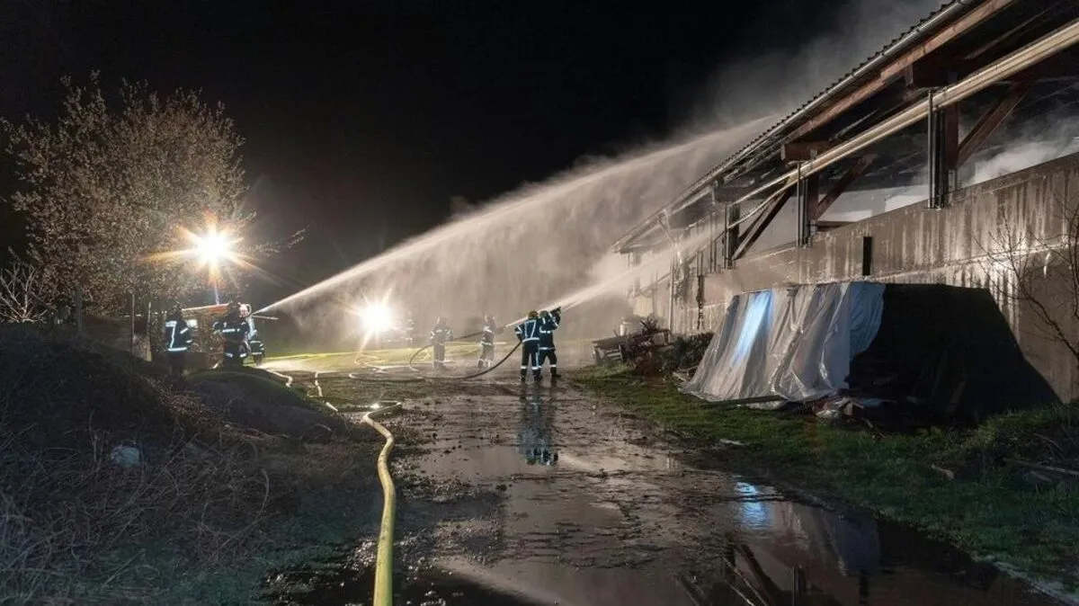 Neun Kälber sterben bei Stallbrand in Altenfelden