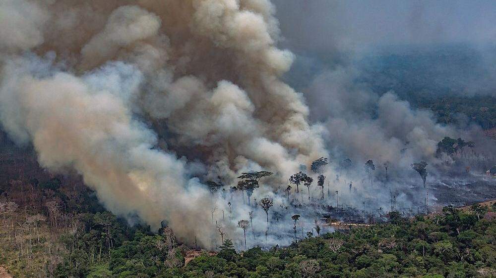 Katastrophengebiet Amazonas-Regenwald