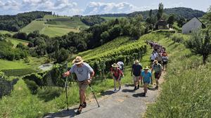 Der erste Aufstieg durch die Weinberge rund um Ratsch an der Weinstraße