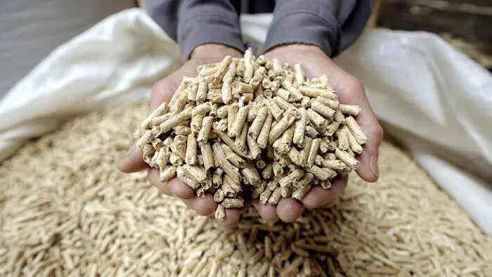 Der Kärntner erhielt keine Holzpellets, sondern verlor Geld an einen Fake-Shop (Symbolfoto)