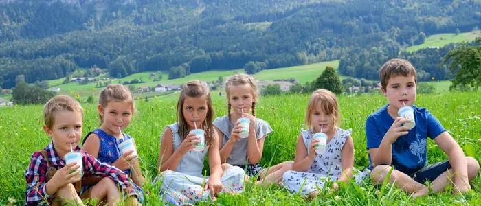 In Kärnten werden 195 Schulen mit Milch der Arge Schulmilch beliefert