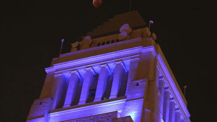 Rathaus in Los Angeles hat ein Rattenproblem