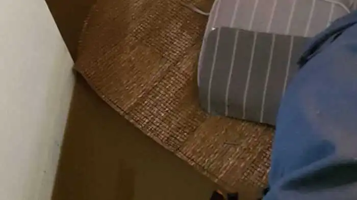 In einigen Judenburger Räumlichkeiten stand nach dem Unwetter vom 7. Juni das Wasser.