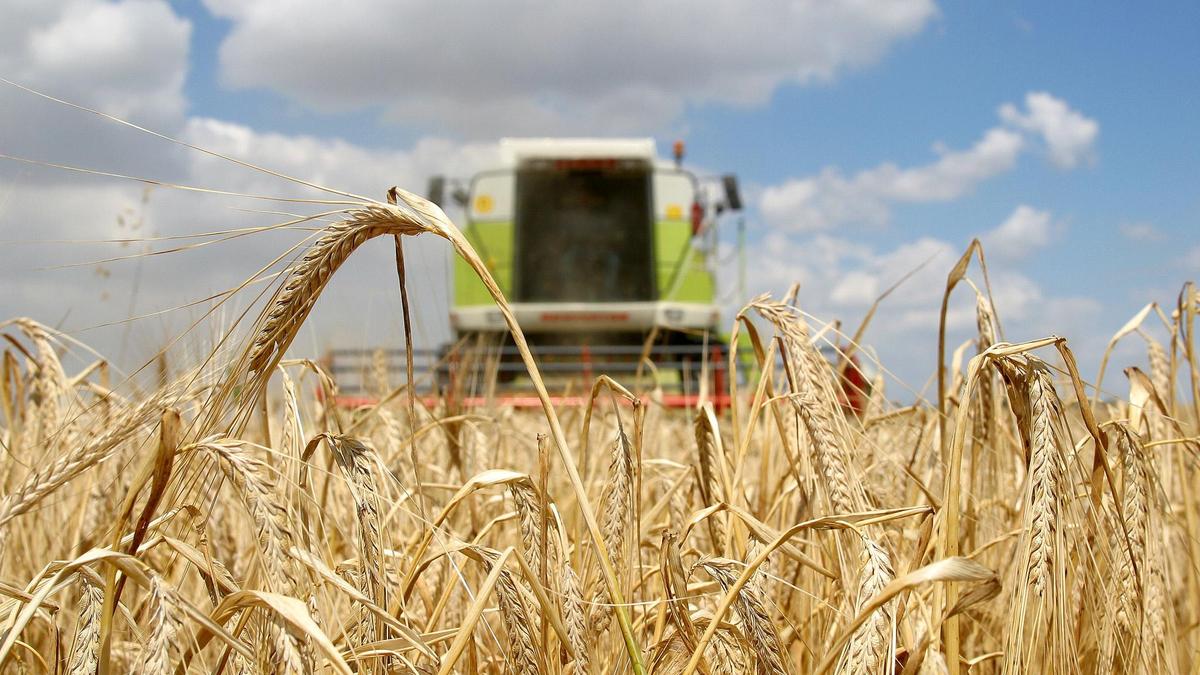 Das Erntejahr verlief rückblickend unter dem Durchschnitt