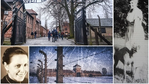 Die Krankenschwester Maria Stromberger ließ sich 1942 freiwillig ins Konzentrationslager Auschwitz versetzen