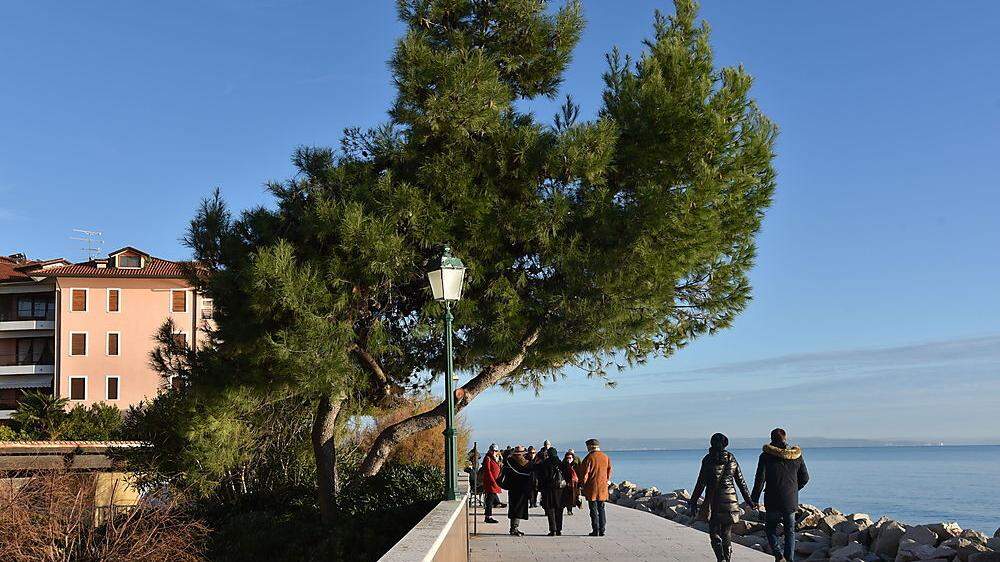 Der Wall in Grado zählt zu den beliebtesten Orten für einen Spaziergang entlang des Meeres