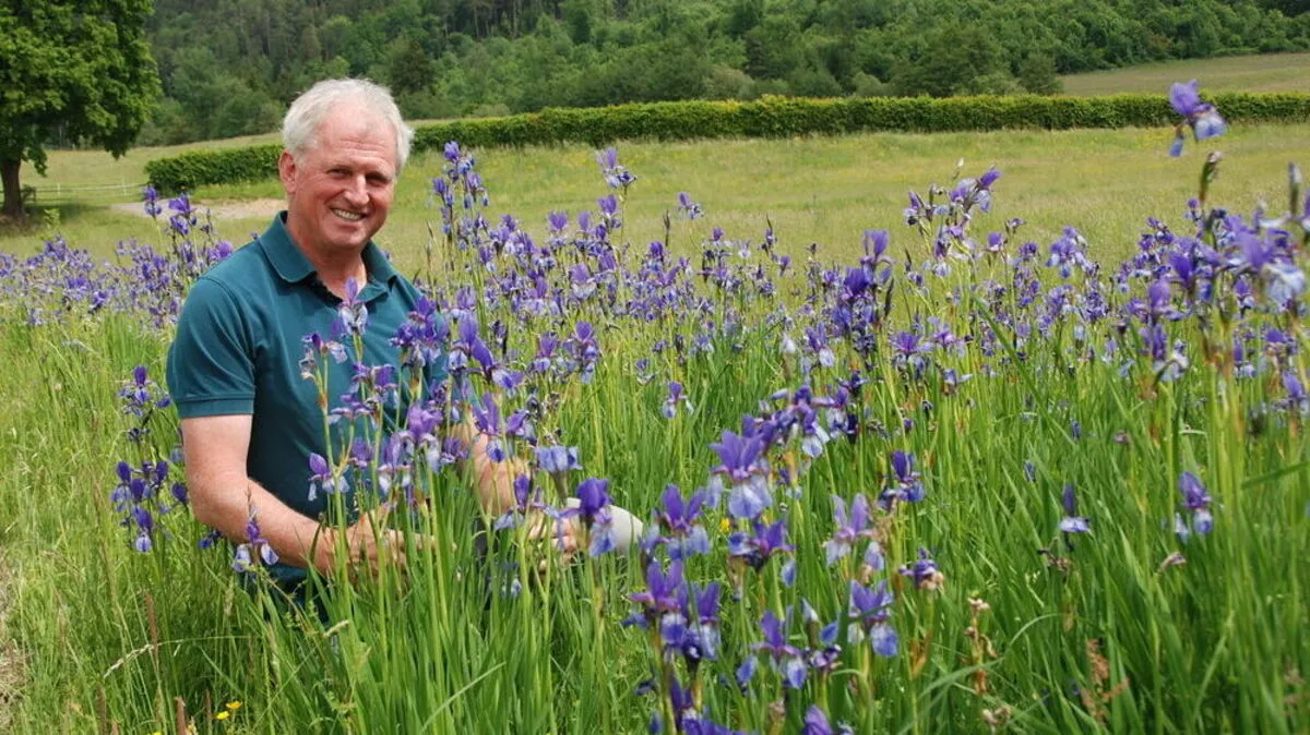 Herbert Buchgraber arbeitet seit 15 Jahren daran, die Schwertlilien in dieser Form zum Blühen zu bringen