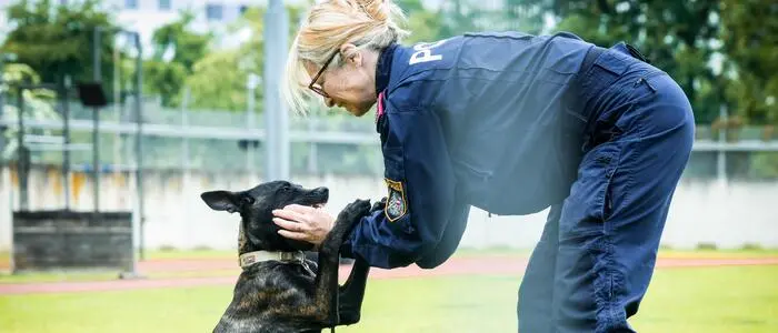  Eine Vorführung der Polizeihunde ist geplant 