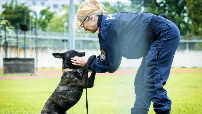  Eine Vorführung der Polizeihunde ist geplant 