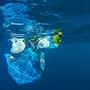 Plastikabfall wird zum immer größeren Umweltproblem