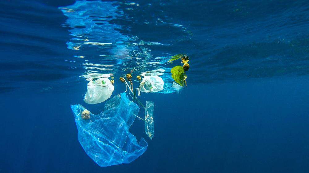 Plastikabfall wird zum immer größeren Umweltproblem