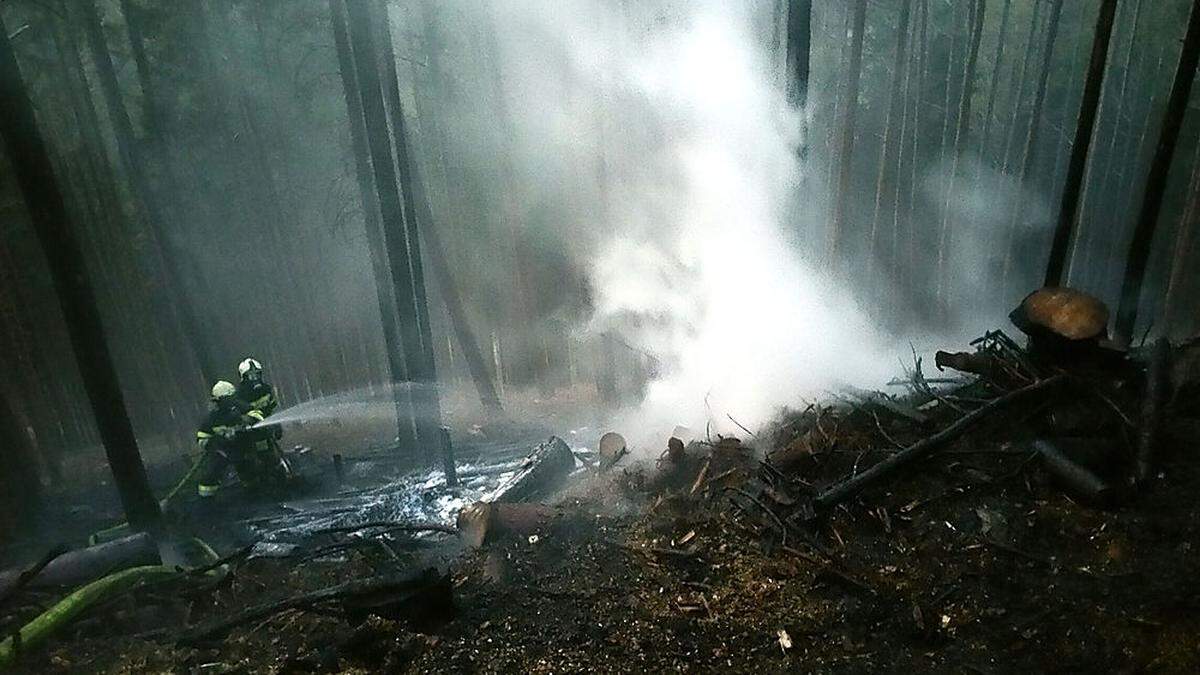 Aufgrund der trockenen Verhältnisse ist die Gefahr eines Waldbrandes derzeit groß