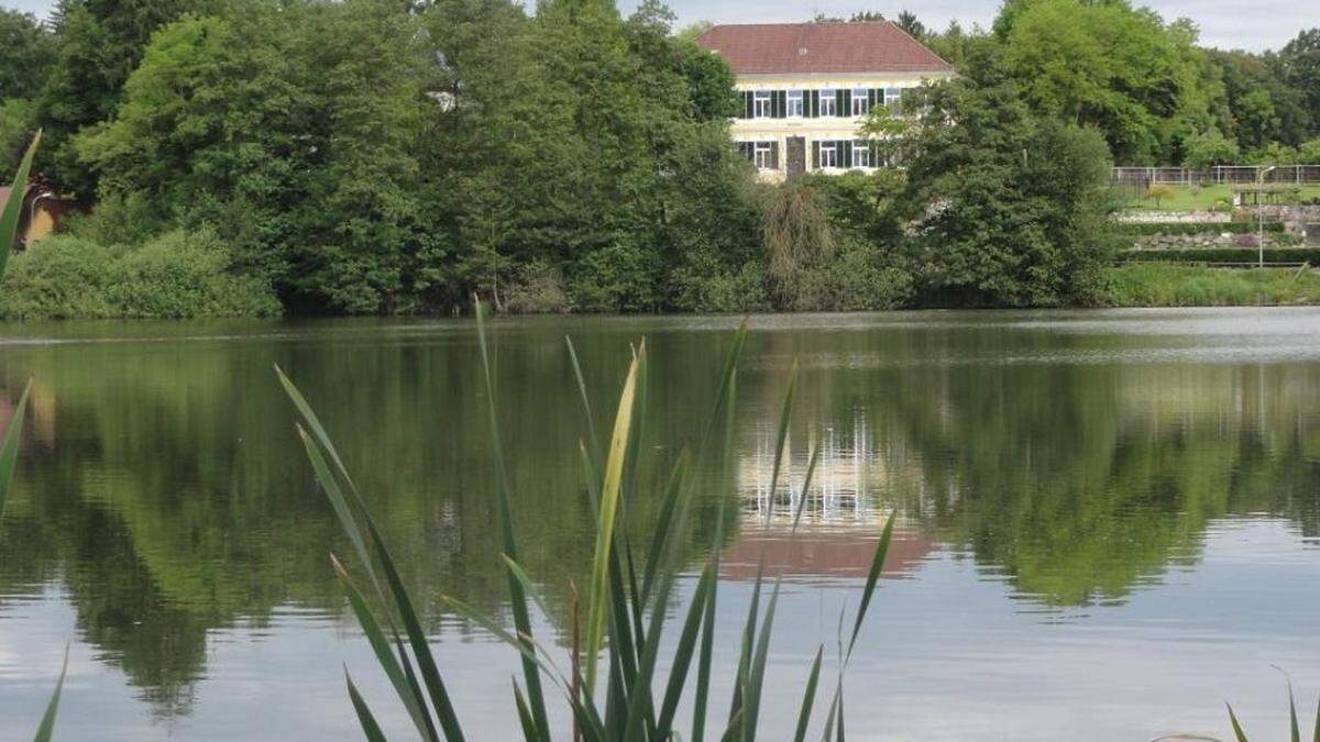 Die Villa mit Seeblick liegt direkt an einer Teichanlage in Brunnsee