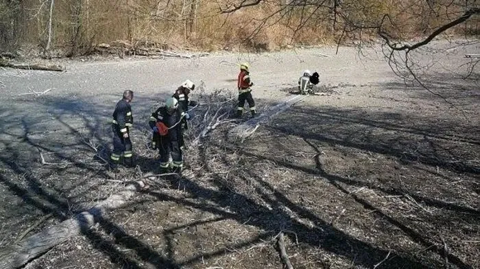 Bilder vom Einsatz im Schlamm des Teiches
