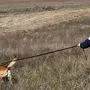 Ein österreichischer Polizist auf Frontex-Einsatz an der griechisch-türkischen Grenze.