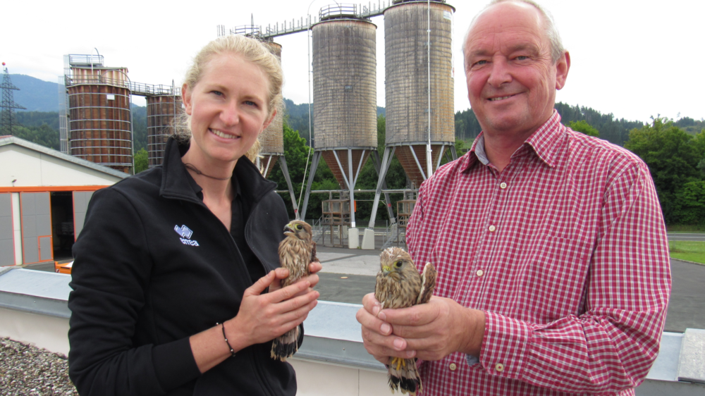 Tina Pflanzl und Wolfgang Botthof konnten mit Hilfe eines Falkners die Tiere unversehrt zu den Eltern zurückbringen.