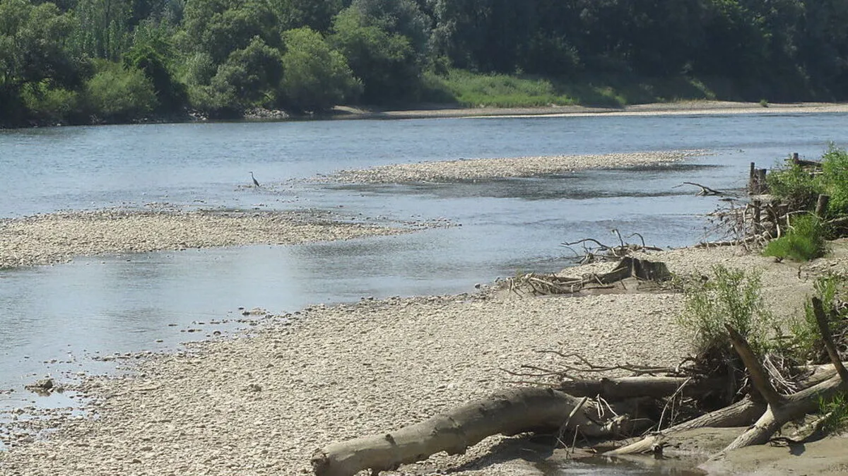 Aufweitung Sicheldorf gegen Erosion der Flusssohle: die Breite der Mur hat sich fast verdoppelt