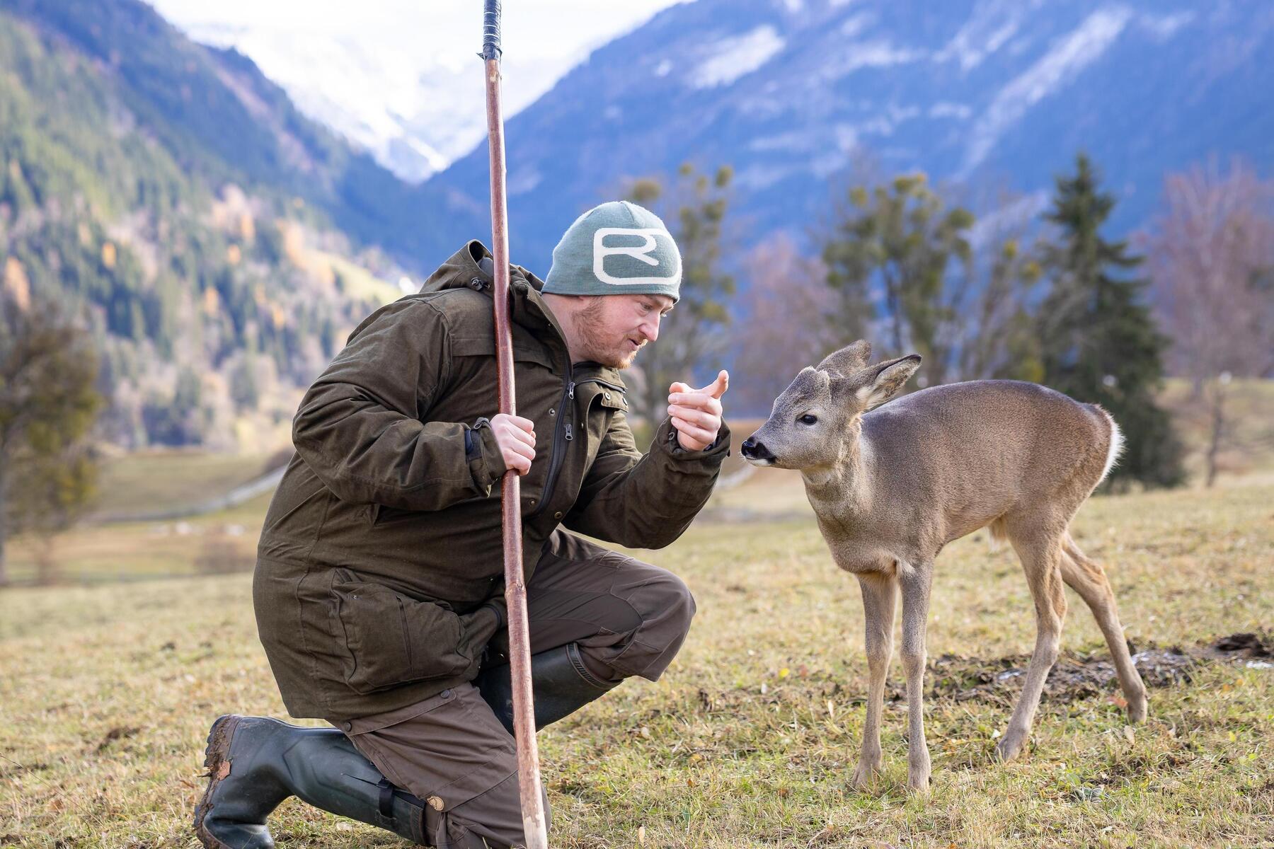 Verwaistes Reh: Findelkind auf vier Beinen muss nun eigene Wege gehen