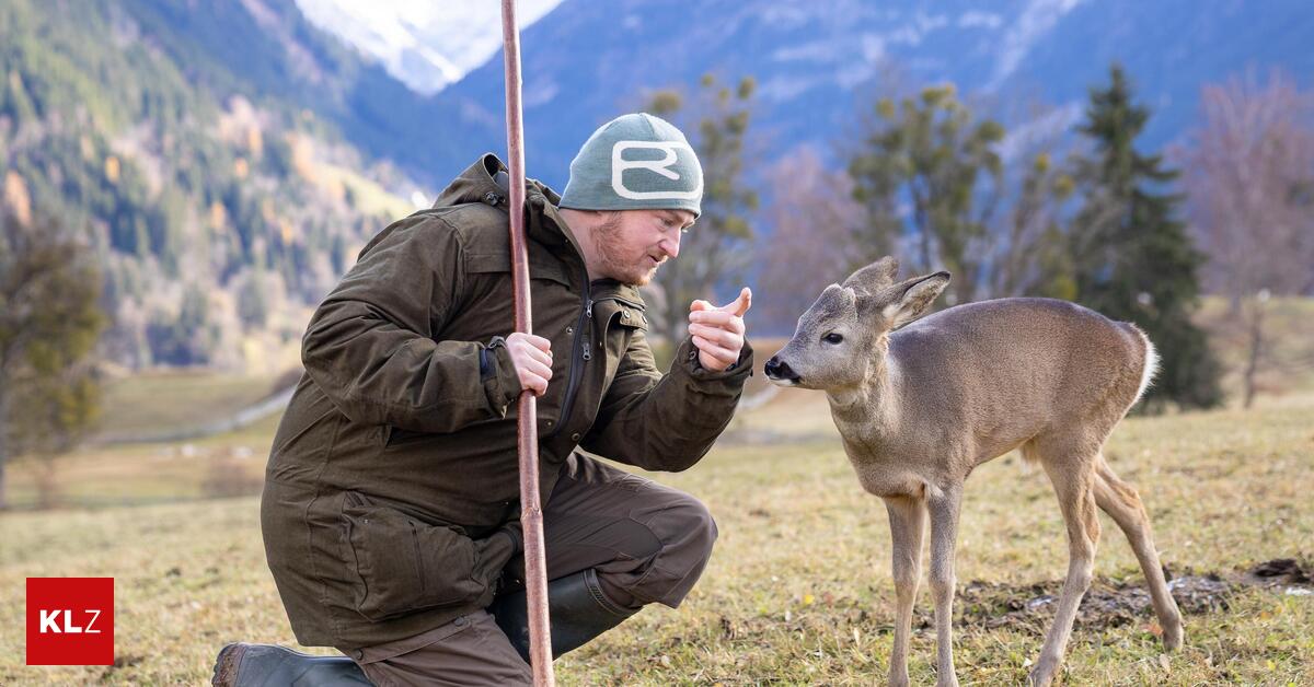 Verwaistes-Reh-Findelkind-auf-vier-Beinen-muss-nun-eigene-Wege-gehen