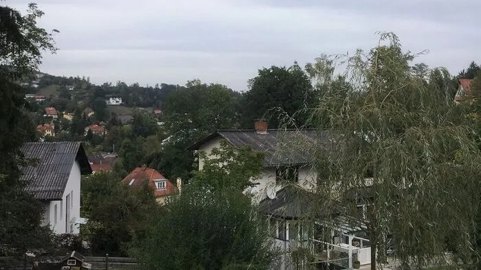 Wochenmenü-Klassiker: Nebelsuppe