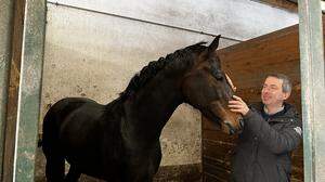 Simon Zuchi lebt für seine Pferde - und ist bereit, bis zum Äußersten zu gehen