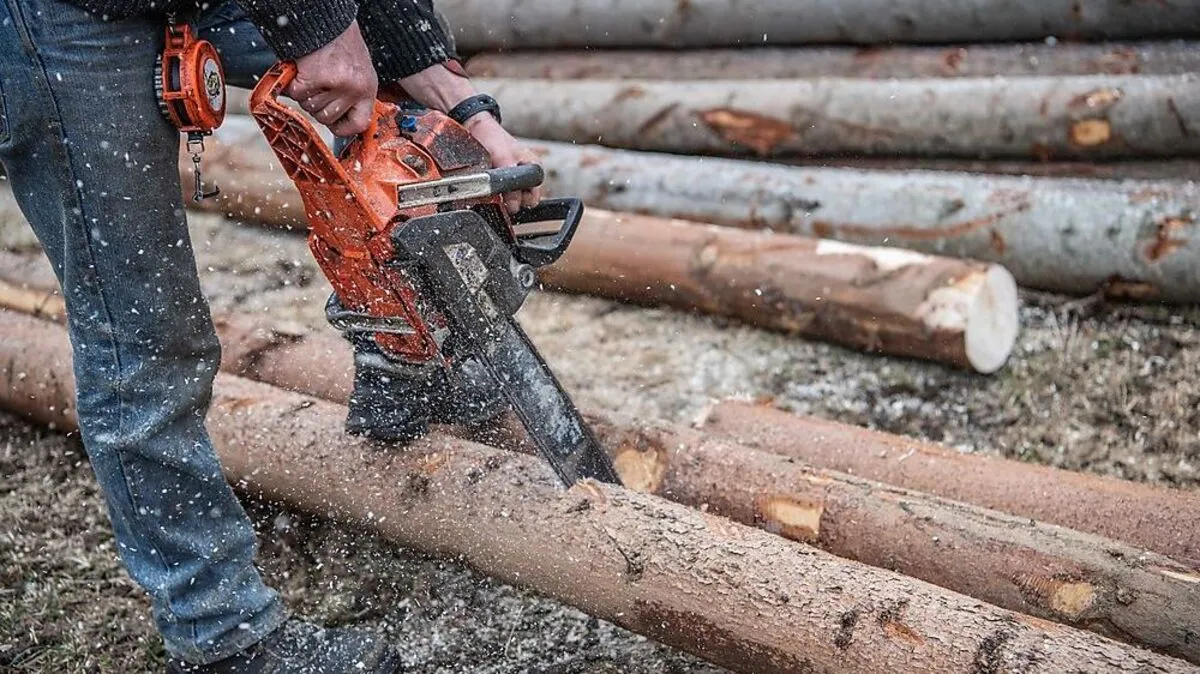 Ein Forstunfall ereignete sich in Wernersdorf (Sujetbild)