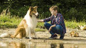 &quot;Lassie - Eine abenteuerliche Reise&quot;, demnächst im Kino