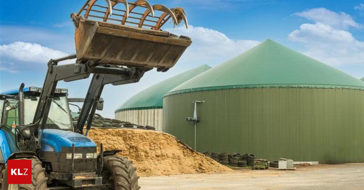 Dr-ngen-auf-Gesetz-Biogas-soll-fit-f-r-Erdgasleitungen-gemacht-werden