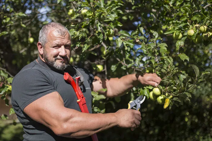 Aber der Mann hat auch andere Gesichter. Als geprüfter Baumwart frönt er dem Hobby Obstbau